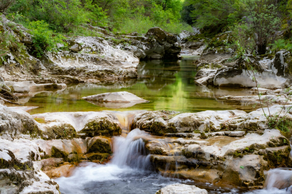 gorghi di Gaville - Sassoferrato